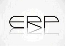 专家浅谈ERP开发发展方向