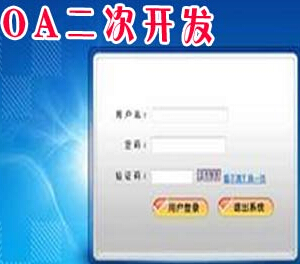 OA二次开发的常见问题